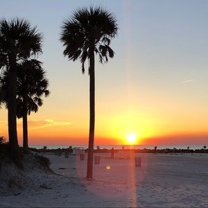 Meet your Posher, Evelyn